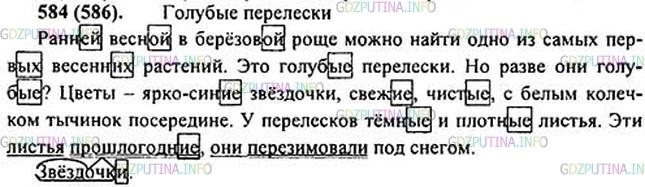 Решение 1: Номер №584 — ГДЗ по Русскому языку 5 класс: Ладыженская Т.А. | Диктант. Озаглавьте текст. Выделите в именах прилагательных окончания.<br /><br />Ранн..й весной в берёзов..й рощ., можно найти одно из самых первых весенних р..стений. Это голубые перелески. Но разве они голубые? Цветы — ярко-син.. звёздочки2, свеж.., чист.., с бел., колечком тычинок посередине. У перелеск.. тёмн., и плотн.. листья. Эти листья прошлогодн.., они перезимовали под снегом.5(По H. Павловой)