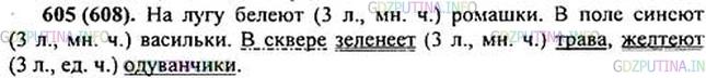 Решение 1: Номер №605 — ГДЗ по Русскому языку 5 класс: Ладыженская Т.А. | Укажите с помощью глаголов на цвет ромашки, васильков, одуванчиков, травы. Составьте с этими глаголами предложения. Обозначьте лицо и число глаголов. Разберите одно из предложений по членам.<br /><br />Для справок: белеть, синеть, желтеть, зеленеть.<br />Глагол - часть речи, которая обозначает действие предмета и отвечает на вопросы что делать? что сделать?<br />Глаголы изменяются по временам: бывают в форме настоящего, прошедшего или будущего времени. В настоящем и будущем времени глаголы изменяются по ЕЕ лицам и числам, а в прошедшем времени - по родам (в единственном числе) и числам.<br />В предложении глагол обычно бывает сказуемым и согласуется с подлежащим.