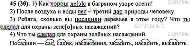 Решение 1: Номер №45 — ГДЗ по Русскому языку 6 класс: Ладыженская Т.А. | Спишите предложения, расставляя знаки завершения. Подчеркните основы предложений. • К выделенному слову подберите 5-6 однокоренных слов - существительных и глаголов. Обозначьте в них корень. • Какие звуки обозначены выделенными буквами?<br /><br />1. Как хорош лес в багрян..м убор.. осен.. 2. После воздуха и воды лес — третий дар пр..роды человеку 3. Ребята, сколько вы пос..дили деревьев в этом году 4. Что ты (з, с)делал для охраны зелёных насаждений