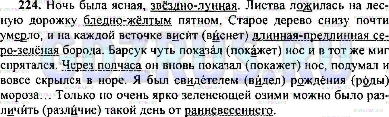 Решение 1: Упражнение №224 — ГДЗ по Русскому языку 6 класс: Разумовская М.М. | 