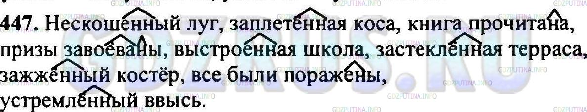 Решение 1: Упражнение №455 — ГДЗ по Русскому языку 6 класс: Разумовская М.М. |