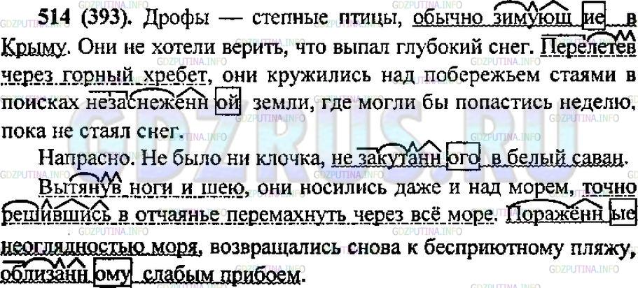 Решение 1: Упражнение №526 — ГДЗ по Русскому языку 6 класс: Разумовская М.М. | 