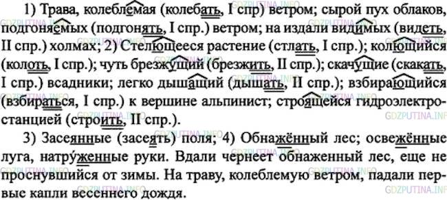 Решение 1: Номер №177 — ГДЗ по Русскому языку 7 класс: Ладыженская Т.А. | Распределите причастия на группы по видам орфограмм на месте пропусков, обозначая условия выбора гласных букв в суффиксах. Составьте два-три предложения, используя любые из данных сочетаний слов.<br /><br />Трава, колебл..мая ветром; стел..щееся растение; кол..щийся кустарник; засе..нные поля; обнаж..нный лес; освеж..ные луга; сырой пух облаков, подгоня..мых ветром; на издали вид..мых холмах; чуть брезж..щий рассвет; скач..щие всадники; легко дыш..щий, взбира..щийся к вершине альпинист; натруж..нные руки; стро..щейся гидроэлектростанцией .