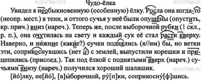 Решение 1: Номер №296 — ГДЗ по Русскому языку 7 класс: Ладыженская Т.А. | Озаглавьте, используя слова текста. Спишите. Сложные наречия подчеркните как члены предложения. • Какие звуки произносятся на месте выделенных букв?<br /><br />Увидел я (не)обыкновенную ёлку. Р..сла она когда(то) в тени, и оттого сучья у неё были опущ..ны (в)низ. Теперь же, после выборочной рубк.., она оч..тилась на свету и каждый сук её стал р..сти (к)верху. Наверно, и нижни.. сучки подн..лись(бы), но ветки эти, соприк..снувшись с землёй, выпустили корешки и прицелились. Так под ёлкой с поднятыми (в)верх сучьями (в)низу получился хороший шалашик.(М. Пришвин)