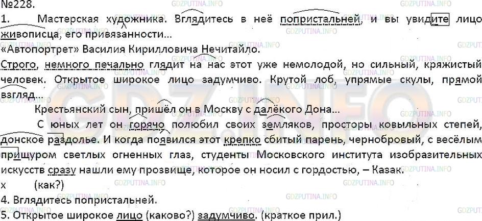 Решение 1: Упражнение №228 — ГДЗ по Русскому языку 7 класс: Разумовская М.М. | 