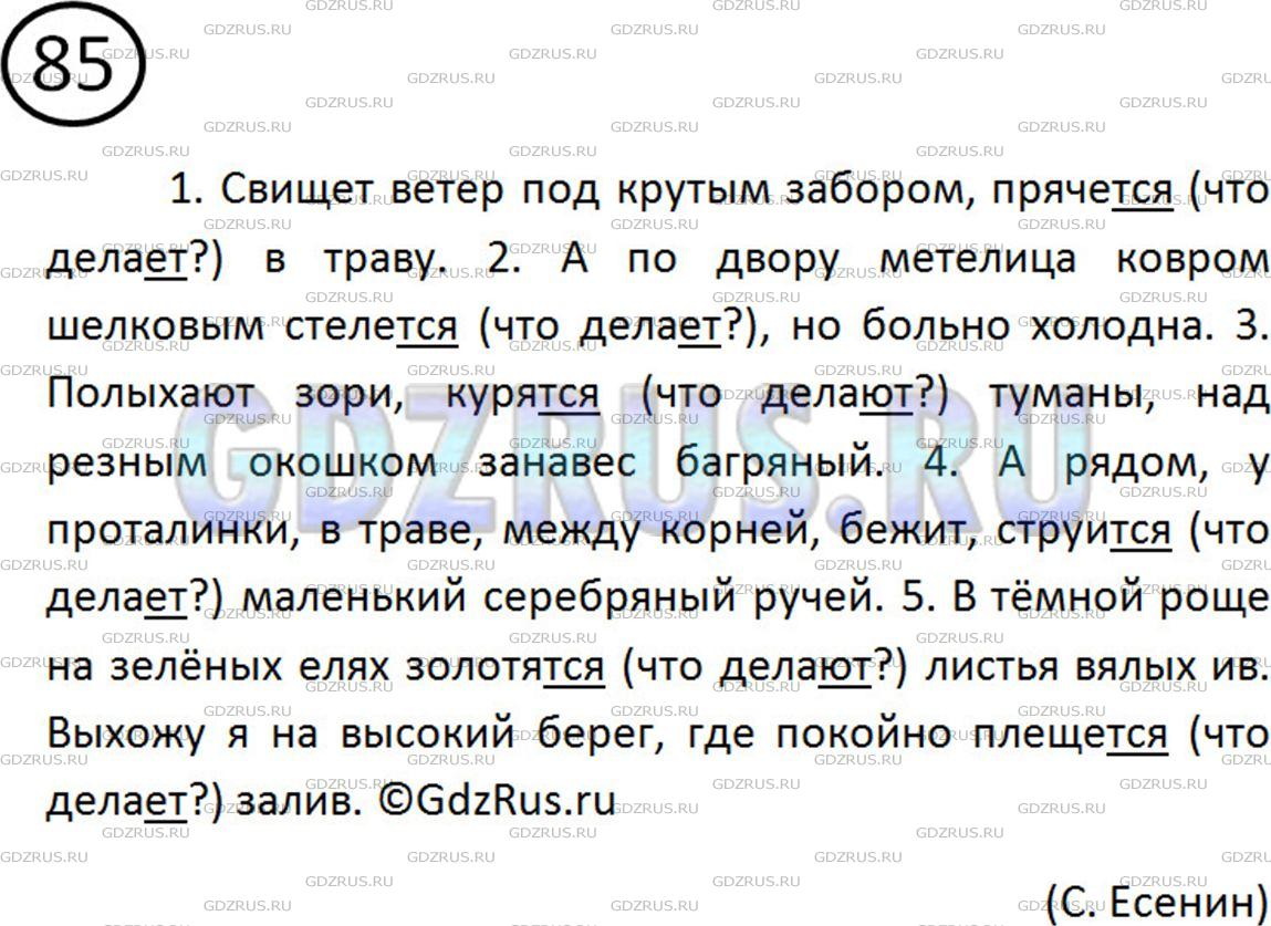 Решение 2: Номер №85 — ГДЗ по Русскому языку 5 класс: Ладыженская Т.А. | Спишите, вставляя в глаголы ь, если он необходим. Над глаголами с -тся и -ться н