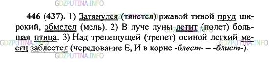 Решение 2: Упражнение №446 — ГДЗ по Русскому языку 5 класс: Разумовская М.М. | Спишите, вставляя пропущенные буквы. Подчеркните грамматические основы предложен