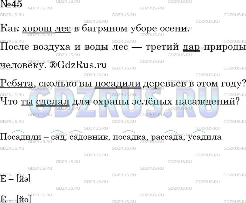 Решение 2: Номер №45 — ГДЗ по Русскому языку 6 класс: Ладыженская Т.А. | Спишите предложения, расставляя знаки завершения. Подчеркните основы предложений