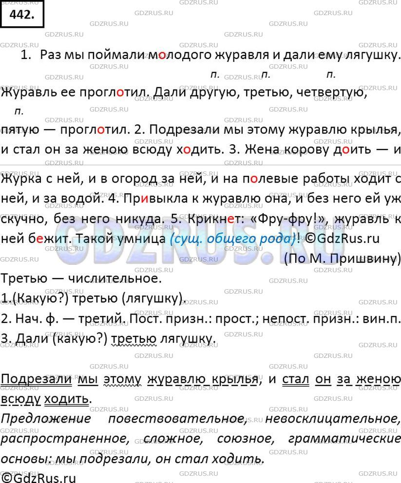 Решение 2: Номер №442 — ГДЗ по Русскому языку 6 класс: Ладыженская Т.А. | Спишите, заменяя выделенные существительные местоимениями и вставляя пропущенные