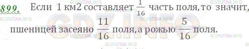Решение 3: Номер №899 — ГДЗ по Математике 5 класс: Виленкин Н.Я. | Площадь поля 16 км^2. Пшеницей засеяли 11 км^2, рожью - 5 км^2. Какая часть поля