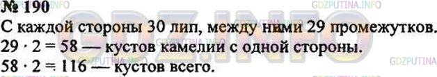 Решение 3: Номер №190 — ГДЗ по Математике 5 класс: Зубарева, Мордкович | По обеим сторонам аллеи посадили по 30 лип и камелию так, что между каждыми двум