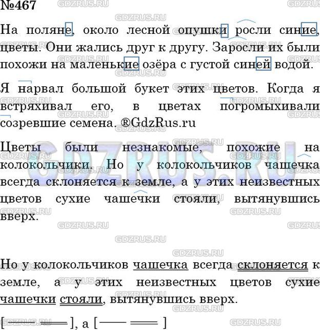 Решение 3: Номер №467 — ГДЗ по Русскому языку 5 класс: Ладыженская Т.А. | Что описывается в тексте? Определите его стиль. Озаглавьте и спишите текст. Обоз