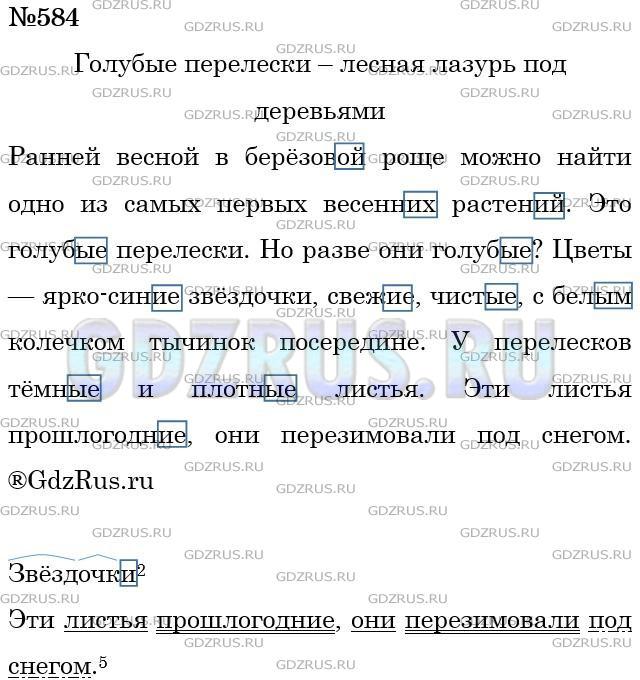 Решение 3: Номер №584 — ГДЗ по Русскому языку 5 класс: Ладыженская Т.А. | Диктант. Озаглавьте текст. Выделите в именах прилагательных окончания.<br /><br 