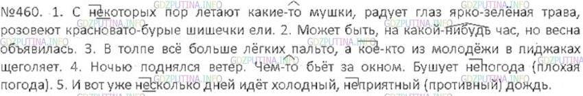 Решение 3: Номер №460 — ГДЗ по Русскому языку 6 класс: Ладыженская Т.А. | Спишите, расставляя пропущенные знаки препинания. Обозначьте условия выбора дефи