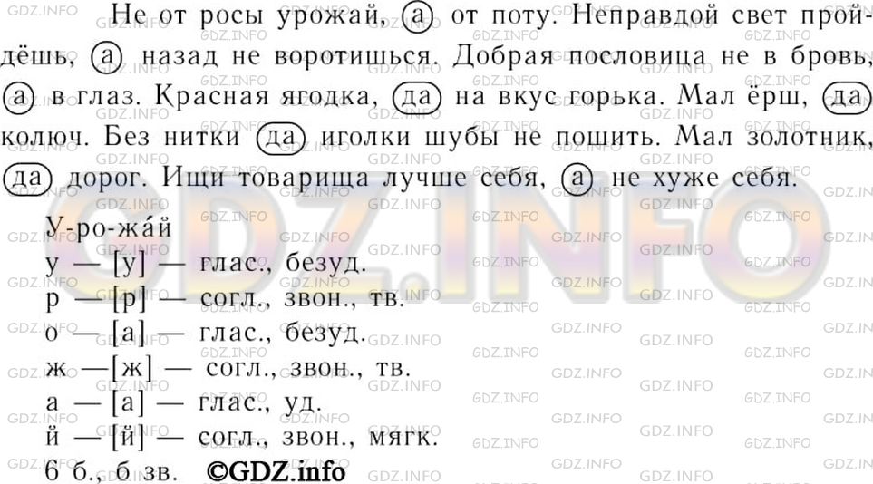 Решение 3: Номер №369 — ГДЗ по Русскому языку 7 класс: Ладыженская Т.А. | Рассмотрите и проанализируйте схемы постановки запятых между однородными членами