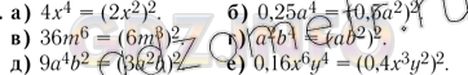 Решение 3: Номер задания №852 — ГДЗ по Алгебре 7 класс: Макарычев Ю.Н. | Представьте выражение в виде квадрата одночлена:<br />а) 4х^4;      в) 36m^6; д)