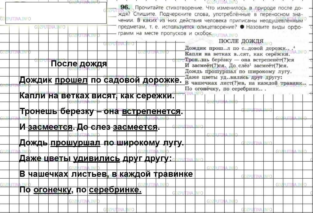 Решение 4: Номер №96 — ГДЗ по Русскому языку 6 класс: Ладыженская Т.А. | Прочитайте стихотворение. Что изменилось в природе после дождя? Спишите. Подчерк