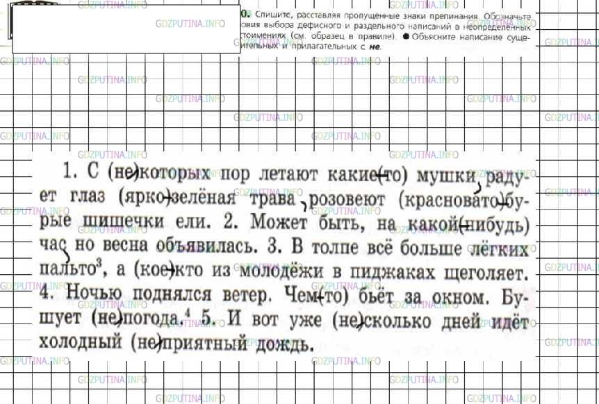 Решение 4: Номер №460 — ГДЗ по Русскому языку 6 класс: Ладыженская Т.А. | Спишите, расставляя пропущенные знаки препинания. Обозначьте условия выбора дефи