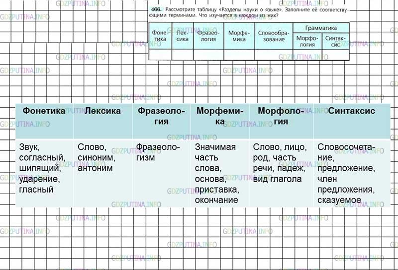 Решение 4: Номер №466 — ГДЗ по Русскому языку 7 класс: Ладыженская Т.А. | Рассмотрите таблицу «Разделы науки о языке». Заполните её соответствующими терми