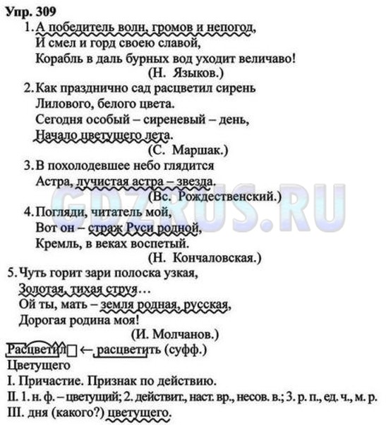 Решение 4: Номер №309 — ГДЗ по Русскому языку 8 класс: Ладыженская Т.А. | Запишите отрывки из стихотворений. Укажите распространённые приложения. Какие из