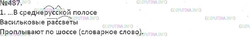 Решение 5: Номер №487 — ГДЗ по Русскому языку 7 класс: Ладыженская Т.А. | Спишите. Объясните написание выделенных букв в словах стихотворений. В каких слу